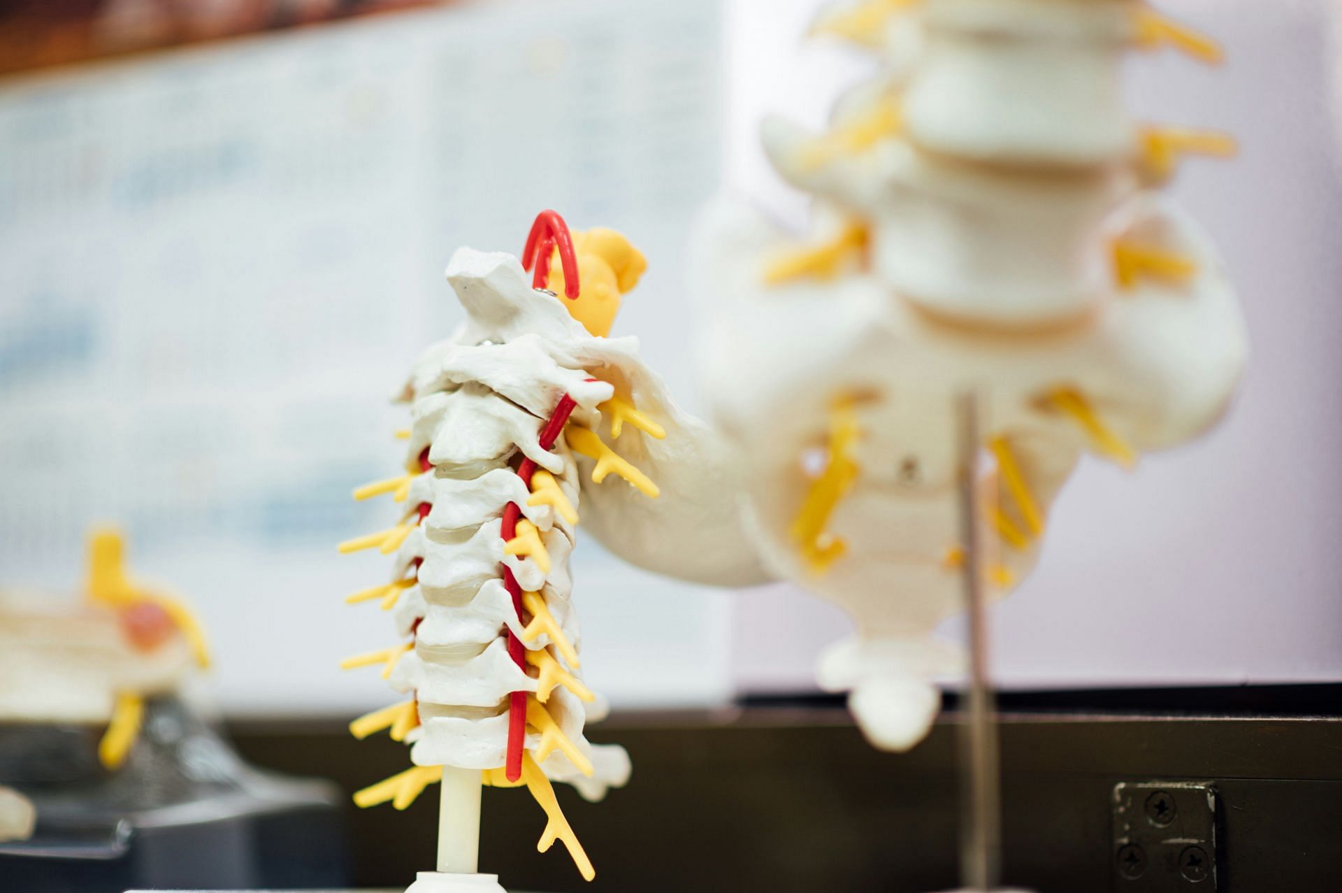 Spinal and other issues (Image via Unsplash/Chutternsap)